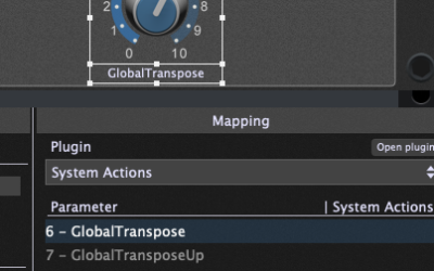 How to remember the global transpose between gigs